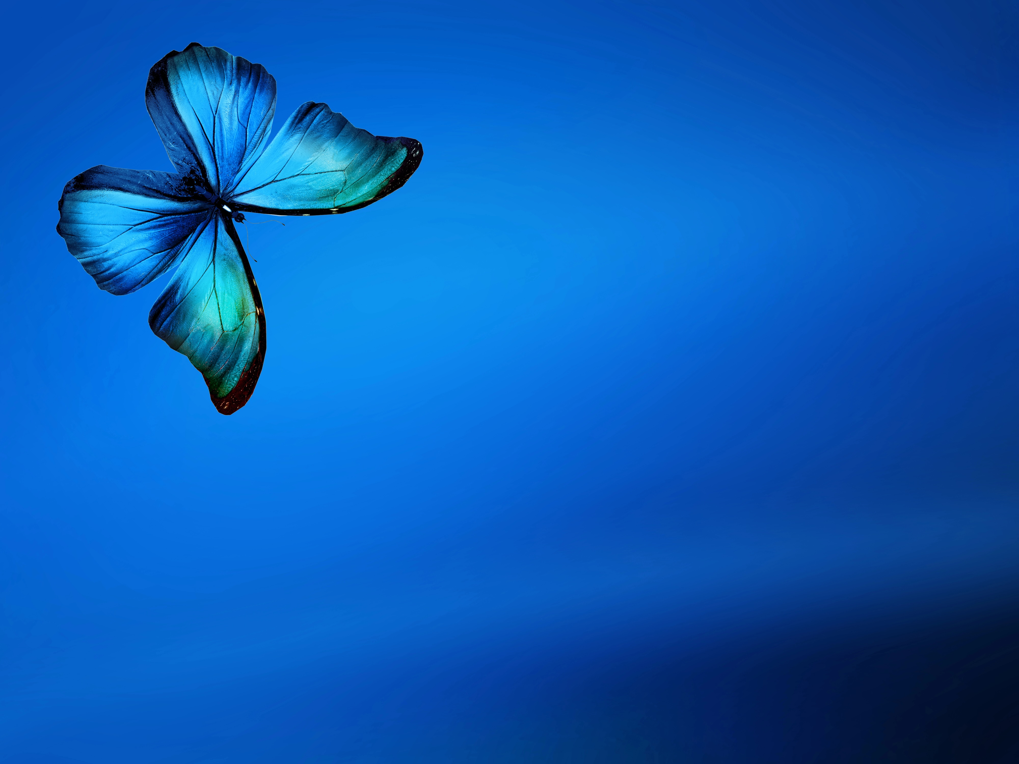 Find Your Friends on Bluesky